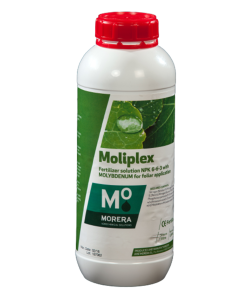 کود مولیبدن مولی_پلکس Moliplex