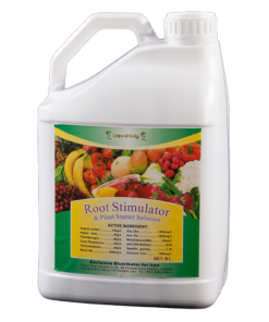 جلبک دریایی Root Stimulator
