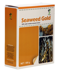 کلپ پودری seaweed Gold