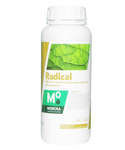ریشه زا رادیکال Radical